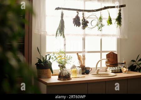 Row of bunches of dry herbs hanging on snag against window over kitchen counter with sink, teapot, green domestic plants and various kitchenware Stock Photo
