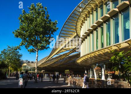 FRANCE. PARIS (75) 1ST DISTRICT. THE FORUM DES HALLES, HEART OF PARIS. THE NELSON MANDELA GARDEN AND ITS WATER GARDEN IN FRONT OF THE CANOPY (ARCHITEC Stock Photo