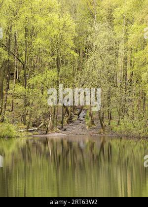 New Pool Hollow, Carding Mill Valley, Church Stretton, Shropshire, England. Stock Photo