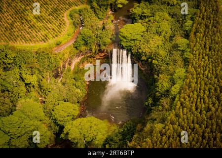 A lush green forest landscape featuring a stunning waterfall cascading down a rocky cliff face, surrounded by tall trees and lush foliage Stock Photo