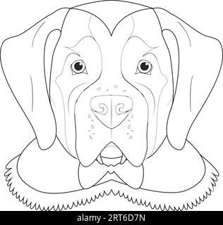 Halloween greeting card for coloring. Saint Bernard dog dressed as a vampire with fangs and cape Stock Vector