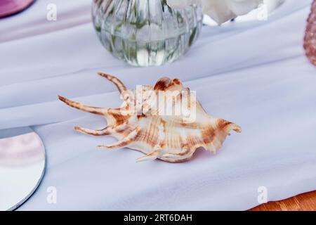 Picnic aesthetics table setting, flowers arrangement, close up shell. Stylish table setup. Stock Photo