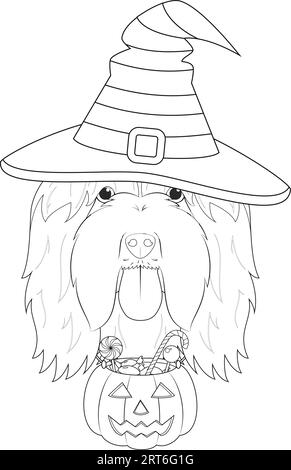 Halloween greeting card for coloring. Bearded Collie dog dressed as a witch with purple hat and a pumpkin with candies in the mouth Stock Vector