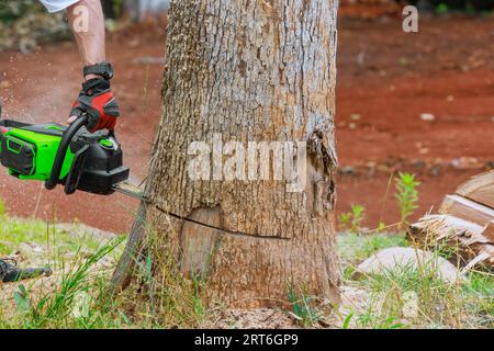 Sawdust flew all directions as woodcutter in forest clearing diligently worked with chainsaw. Stock Photo