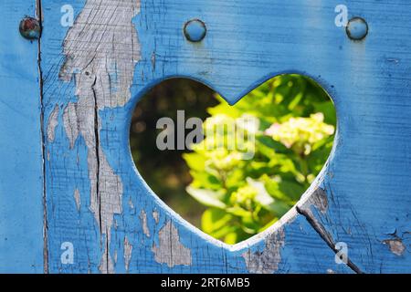 picture of a heart-shaped cutout in an old blue wooden door overlooking a garden Stock Photo