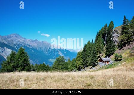 Mountain huts photographed in the Valtellina pastures near Bormio Stock Photo