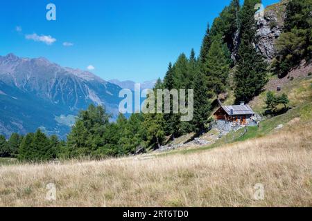 Mountain huts photographed in the Valtellina pastures near Bormio Stock Photo