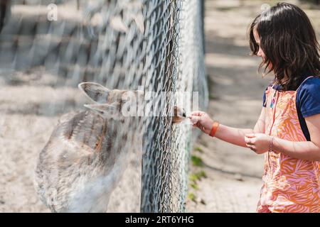 Side view of cute girl in casual clothes feeding deer through fence in zoo during weekend day Stock Photo