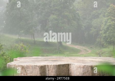 Wood tabletop podium floor in outdoors tropical forest nature landscape background.Organic healthy natural product present placement pedestal counter Stock Photo