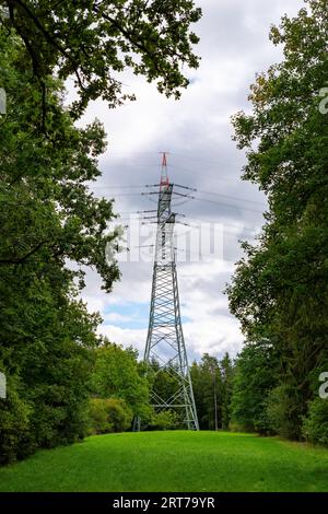 Electricity pylon on green forest clearing in black forest Stock Photo