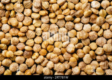 Closeup of cornsalad (alerianella locusta) seeds Stock Photo