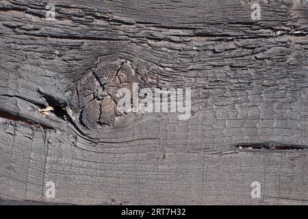 Burnt wooden plank background, texture of burnt fibers and knot of wood Stock Photo