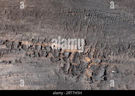 Board with burnt texture, abstract wood background Stock Photo