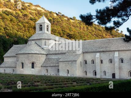 The famous monastery Abbaye Notre-Dame de Sénanque, Gordes, France, where the famous lavender plantations are. Picture taken after harvesting. Stock Photo