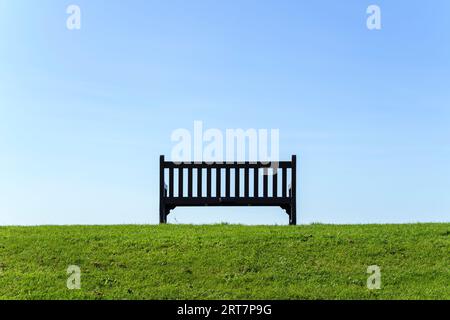 An empty park bench on grass in bright sunlight under a clear blue sky Stock Photo
