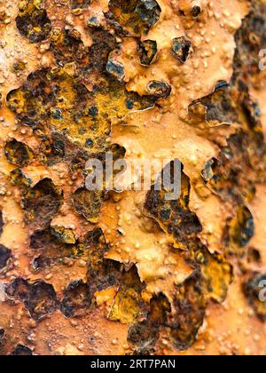 Old grunge rustic metal texture use for background. Rust of metals.Corrosive Rust on old iron.Grunge rusty dark metal background texture. Background r Stock Photo