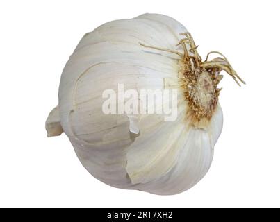 Bulb of garlic isolated on white background Stock Photo