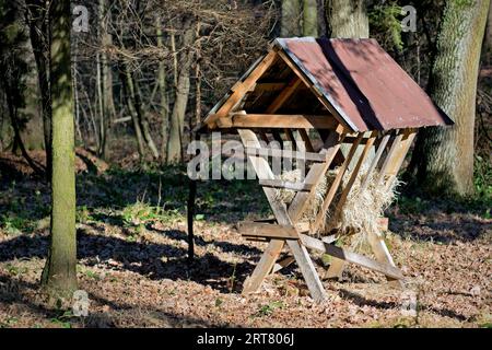 Animal feeder in late autumn in a forest Stock Photo