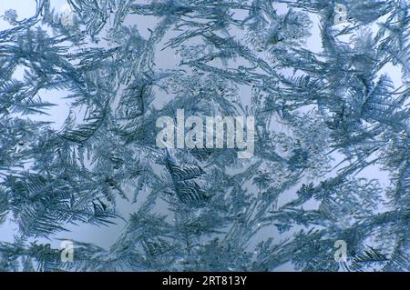 Beautiful nature shot, natural wallpaper, "tribal" ice formations on a glass plate created by the harsh winter cold Stock Photo