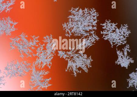 Beautiful nature shot, natural wallpaper, "tribal" ice formations on a glass plate created by the harsh winter cold Stock Photo