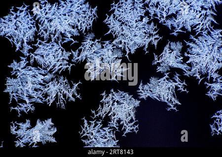 Beautiful nature shot, natural wallpaper, "tribal" ice formations on a glass plate created by the harsh winter cold Stock Photo