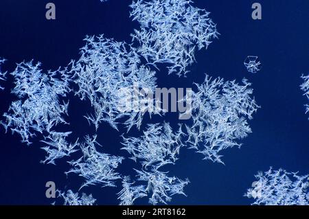Beautiful nature shot, natural wallpaper, "tribal" ice formations on a glass plate created by the harsh winter cold Stock Photo