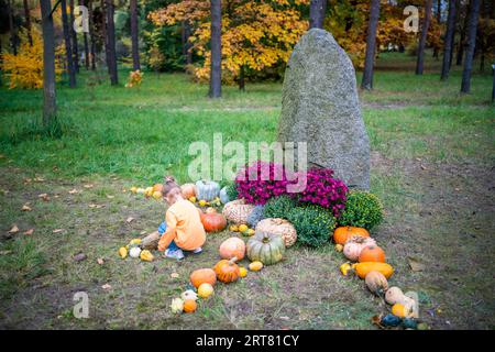 Cute little girl having fun with huge pumpkins on a pumpkin patch. Kid picking pumpkins at country farm on warm autumn day in Prague. Family time at Stock Photo