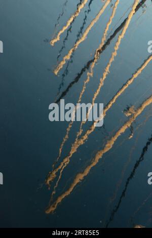 Abstract of sailing masts reflecting in warm California waters set against a colorful evening sky. Stock Photo
