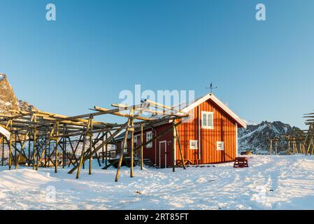 Renovated traditional red rorbu fishing hut with empty racks for drying cod on the Lofoten islands in Norway in winter Stock Photo