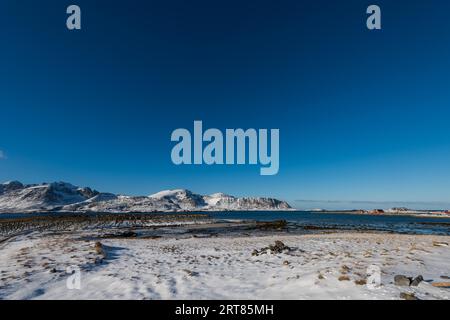 Giant empty wooden racks for hanging and drying cod to make stockfish on the Lofoten islands in Norway on clear winter day snow-clad mountains and Stock Photo
