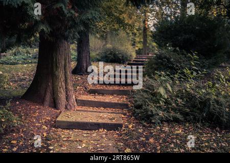 Looking up at well worn caved stone steps in public park leading upwards through big trees and bushes Stock Photo