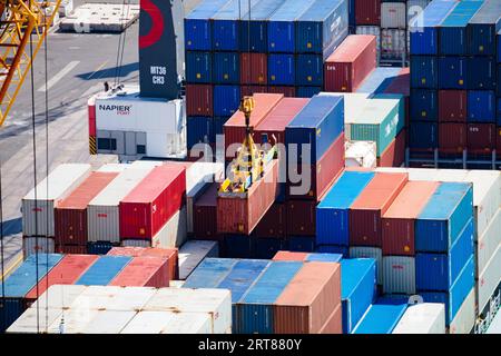 NAPIER, NEW ZEALAND -SEPTEMBER 30, 2017: Shipping containers lay ready the Port of Napier for export from New Zealand Stock Photo