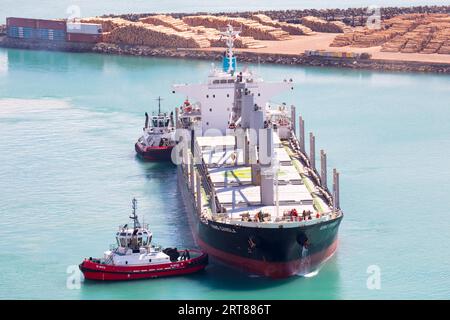 NAPIER, NEW ZEALAND -SEPTEMBER 30, 2017: Tug boats guide a shipping container into the Port of Napier in New Zealand Stock Photo