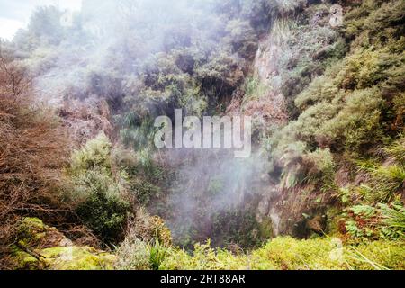 The volcanic and fascinating landscape of Wairakei Natural Thermal Valley near Taupo in New Zealand Stock Photo