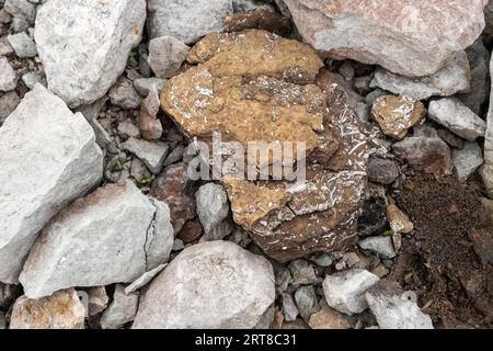 Oil shale stone, background. Sedimentary rocks rich in kerogen. The shale mining site, Aidu quarry in Estonia. Stock Photo