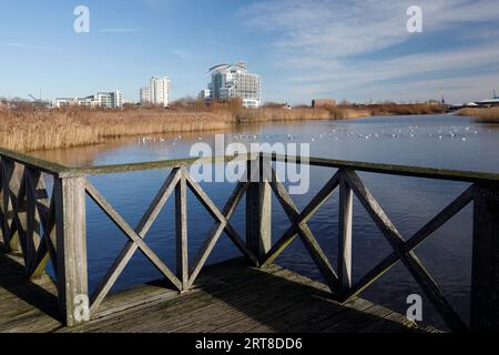 View from visitors platform, Cardiff Bay Wetland Nature Reserve,  across to The St David's Hotel and Spa, Sept 23. Stock Photo