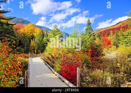 Beautiful autumn colors along a boardwalk trail in the countryside of Vermont, USA Stock Photo