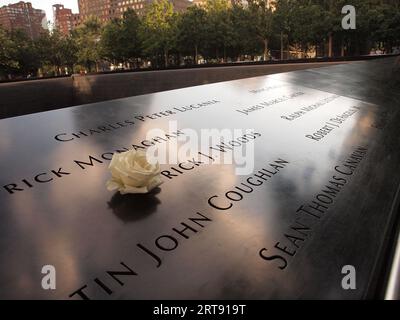 White roses inserted in a 9/11 victims memorial plaque at Ground Zero. Stock Photo
