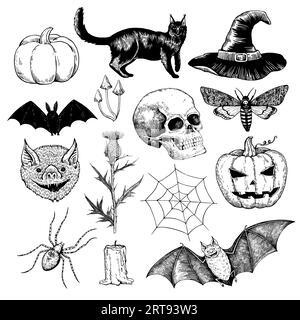 Big set of black and white halloween illustrations. Ink drawing of horror gothic symbols for design. Stock Vector