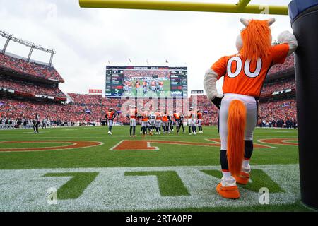 October 23, 2022: Denver Broncos mascot Miles entertains the fans during  during halftime of the football game between the Denver Broncos and New  York Jets. Derek Regensburger/CSM/Sipa USA.(Credit Image: © Derek  Regensburger/Cal