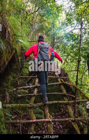 Rear view of a female hiker on a rocky footpath with wooden ladders at Lupanga Peak Trail in Uluguru Mountain in Morogoro Town, Tanzania Stock Photo