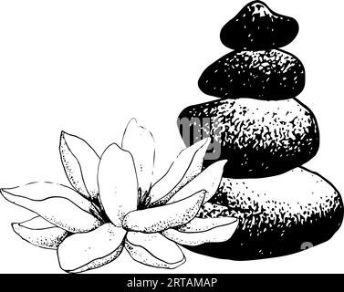 Vector lotus flower and balanced stones pyramid realistic graphic sketch illustration for yoga centers, natural cosmetics and health care Stock Vector