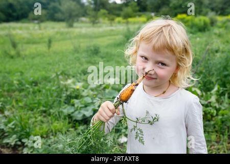 Organic vegetables for children on an eco-farm. A child eats carrots freshly picked from the garden. Stock Photo