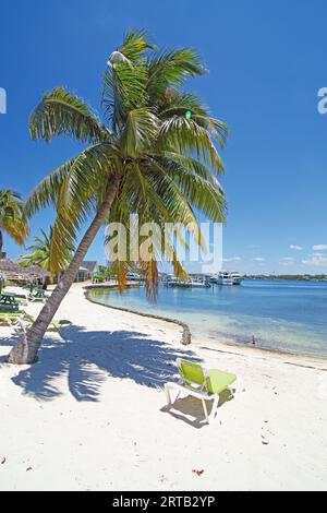 Green Turtle Club Resort and Marina, Green Turtle Cay, Abacos Islands, Bahamas Stock Photo