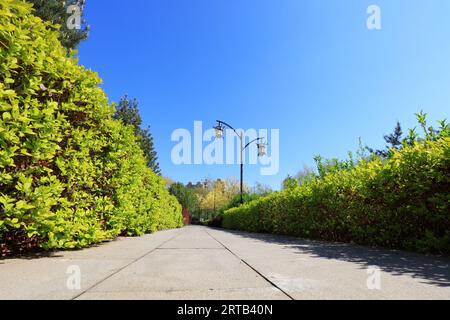 Street lights and green plants are in the park Stock Photo