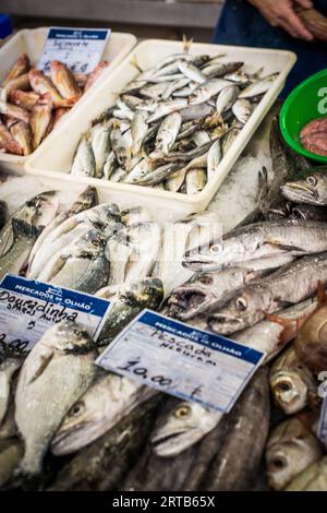 fish market, tavira, algarve, january 2023 Stock Photo