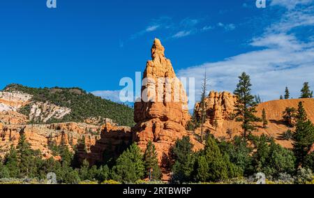 Redf rocks, blue sky,green trees and yellow flowers in Red canyon Utah Stock Photo