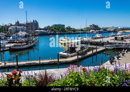 Many boats in the harbor of Victoria British Columbia Canada Stock ...