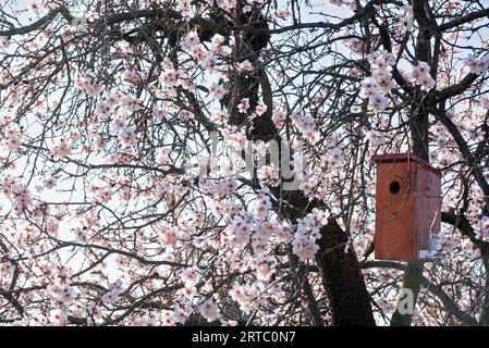 Bird house on blooming tree Stock Photo