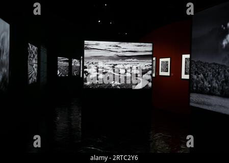 View of some of the images exhibited by photographer Sebastião Salgado in his new exhibition project Amazônia, at the Teatro Fernán Gómez in Madrid, S Stock Photo